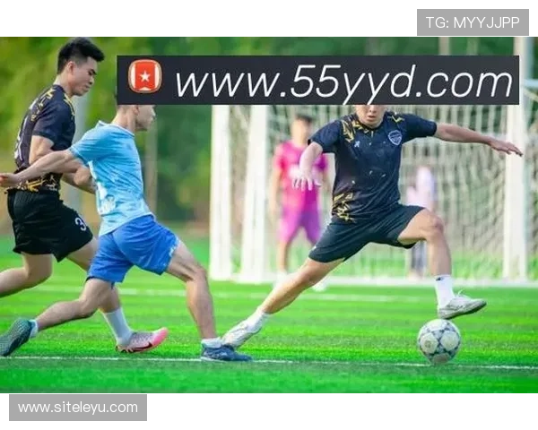 乐鱼体育电脑版官网常见问题及解决方案，助力新手用户轻松上手体验体育娱乐