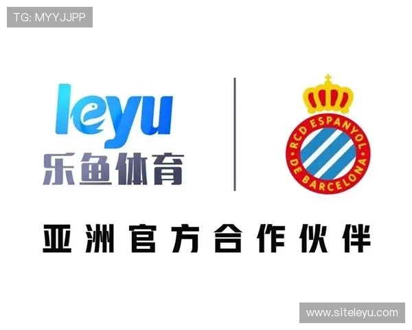 乐鱼体育网址官方地址2024年最新版本，确保用户体验与安全保障