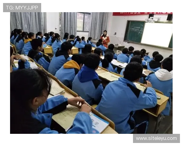 乐鱼圈网页版登录入口上线时间及使用指南，帮助新老用户畅享优质内容