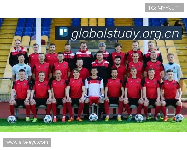 乐鱼成为意甲全球赞助商的过程与成功经验分享乐鱼如何借助意甲平台实现品牌国际传播目标