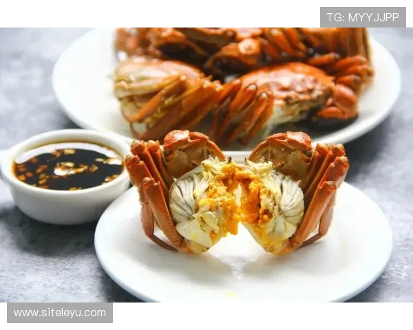 乐鱼旗舰店——严选优质海鲜，品质保证让您放心购买