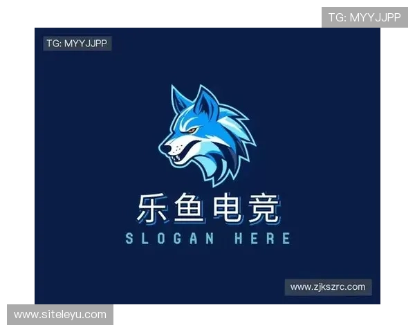 乐鱼电竞官网平台登录成功后如何进行账号安全设置