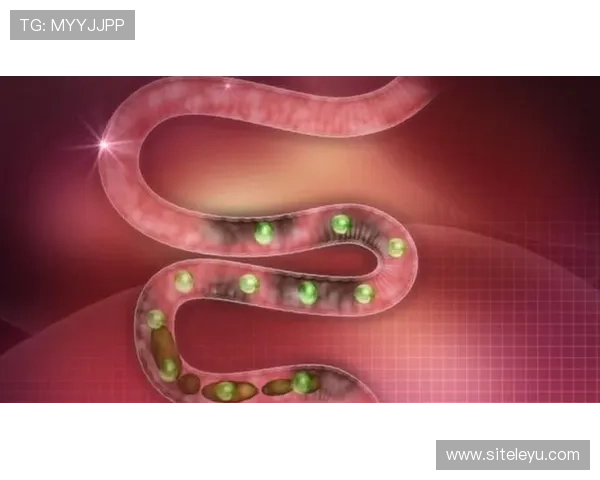 乐鱼登录平台官网——多终端登录支持，随时随地轻松畅享体育投注体验