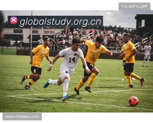 乐鱼体育旗舰厅登录线路安全稳定，确保玩家畅享无忧体育赛事体验