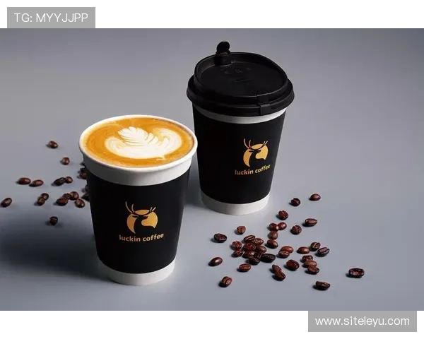 乐鱼意甲全球赞助商合作案例分析，助力企业实现国际化战略目标