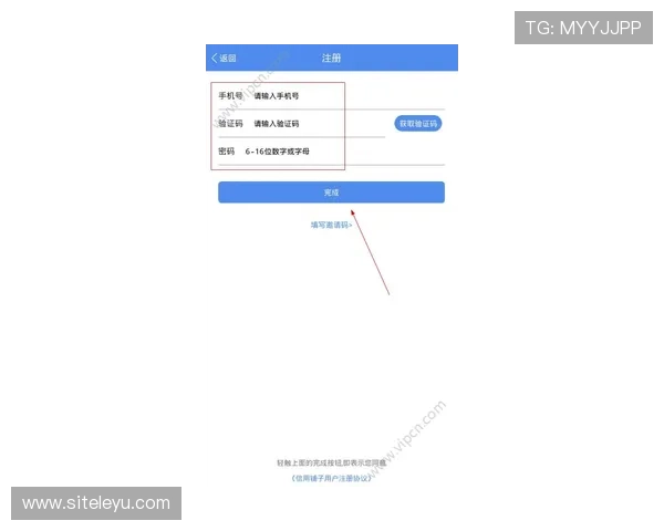 乐鱼网页版登录官网用户注册流程详细步骤介绍