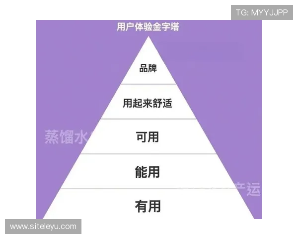 瑞丰乐投：平台特色服务与用户体验提升的关键因素