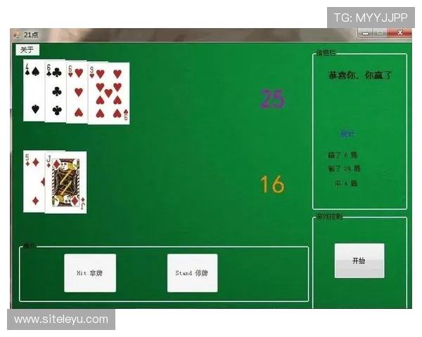 二十一点棋牌规则详解帮助新手快速掌握游戏技巧与玩法介绍